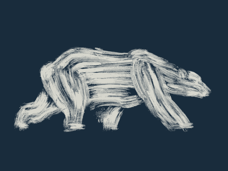 Polar Bear animals animation brush illustration motion procreate rotoscoping wild