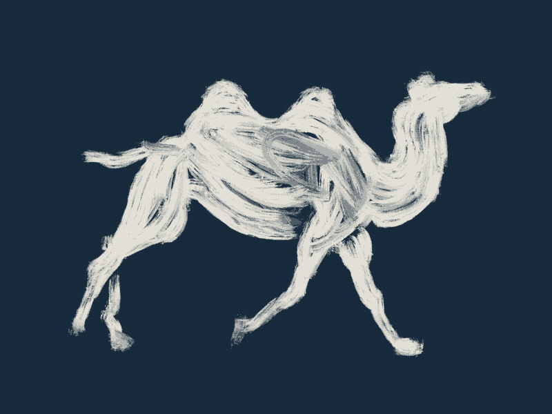 Camel animation brush illustration motion procreate rotoscoping