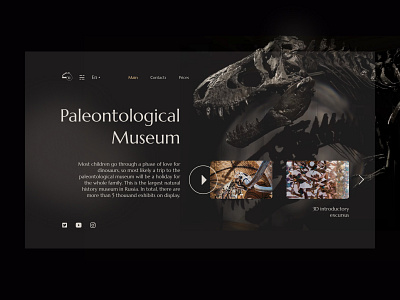 Paleontological Museum branding design typography ui ux