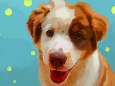 Baby Stella aussie dog dog love illustration puppy