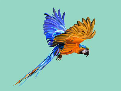 Parrot bird multicolor parrot pet vector bird