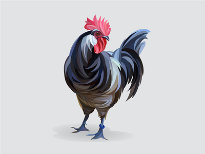 The Rooster