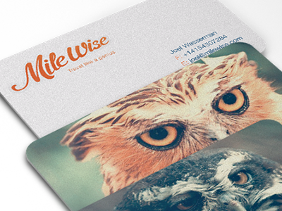 Milewise business cards business cards owls