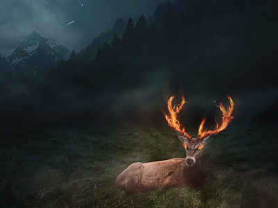 Burning Deer burning creepy dark deer elk fire flames horns mist mountains photomanipulation stag