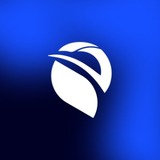 Awe Design Studio