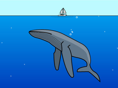 whale illustration nature vector whale
