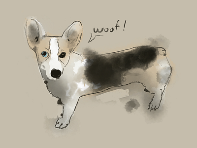Another corgi sketch corgi dog illustraion procreate