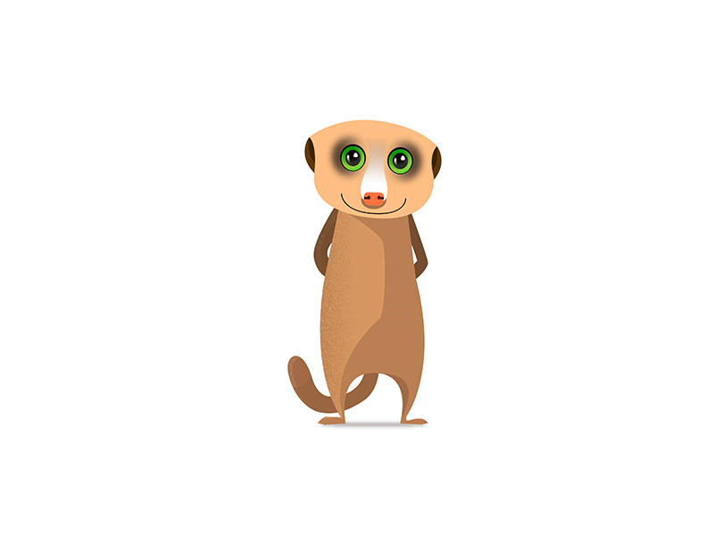 Meerkat. animal graphic illustration meerkat motion