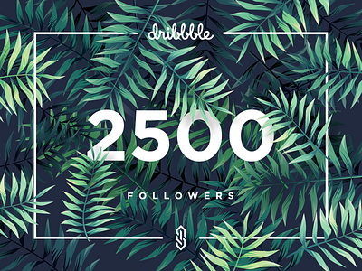 2500 dribbble Followers! app design app ui debut shot dribbble dribbble best shot dribbble debut dribbble followers followers illustration typography ui design