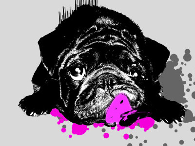 Dog illustration dog pink pug splatter