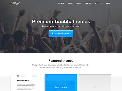 Pixel Revel landing page button landing landing page theme themes tumblr web web design webdesign website