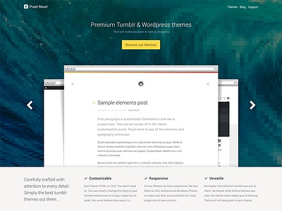Pixel Revel homepage landing theme themes tumblr web web design webdesign website wordpress