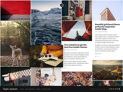 New Pixel Revel theme blog clean grid masonry minimal mosaic portfolio theme tumblr web web design webdesign
