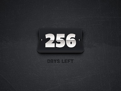 256 days left