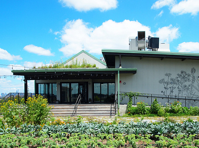 Gwen Schantz design environmental design green infrastructure green roof landscaping plant design sustainability urban planning