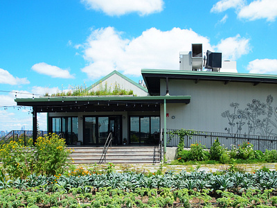 Gwen Schantz design environmental design green infrastructure green roof landscaping plant design sustainability urban planning