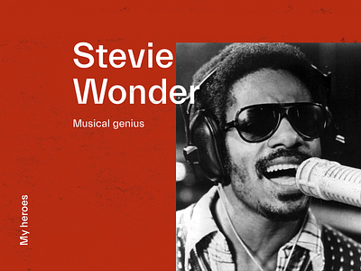 MY HEROES #3 STEVIE WONDER stevie wonder