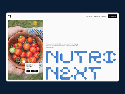 Food Innovation Website