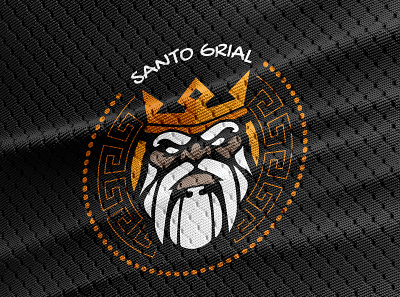 Santo Grial app branding design graphic design logo typography vector