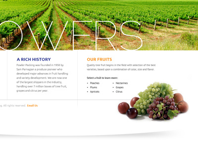 Agriculture Option 2 agriculture fruit web design