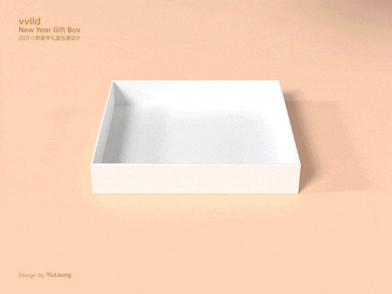 vvild New Year Gift BoxPackage Design | YiuLeung branding new year