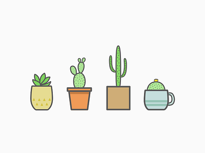 In Lieu of Pets cactus illustration line minimal plants simple succulent