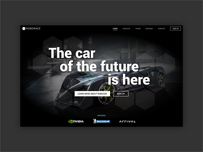 Roborace landing page