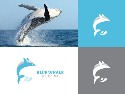 Blue Whale Shipping Logo blue branding design logo minimal whale