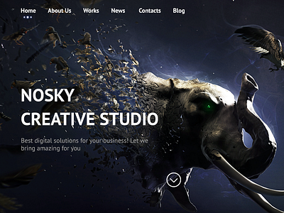 NOSKY Studio animal creative dark designers portfolio snutz studio typography webdesign website