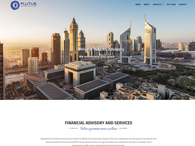 website for Plutus Associates, Wealth advisors adobe photoshop blue website branding finance financial consultant flat design home page landing page web design