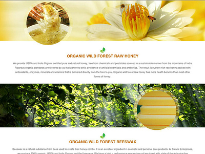 Website for Organic Beeswax and Raw Honey adobe photoshop branding green organic beeswax organic honey website wordpress yellow yellow and green