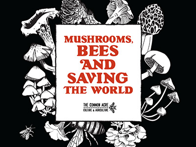 Mushroom Lecture bees chanterelle illustration midnight morel mushrooms typography