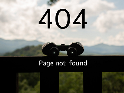 404 Page #DailyUI dailyui