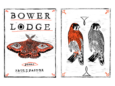Bower Lodge 001 branding design illustration orange