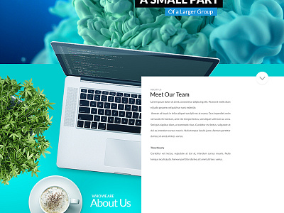 Entropy animations design front end parallax photoshop uxui website