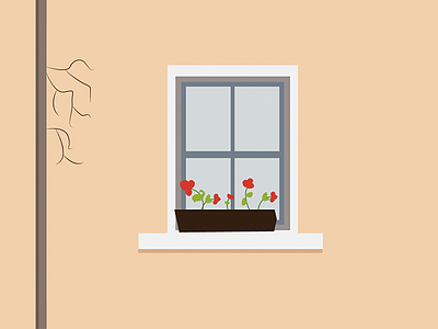 Window 4 balat city design dribbble flower historical home illustration istanbul leaf shot wall window
