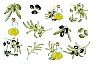 Watercolor vector set of olives design illustration logo olive print set vector watercolor