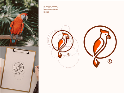 parrot logo design art bird brand creative design exotic graphic identity illustration line art logo modern nature parrot photographer simple symbol toucan vector zoo