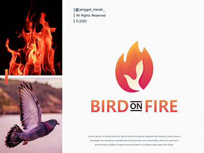 bird on fire logo animal logo art artwork awesome bird birds birds logo brand brand identity brandidentity branding design fire fire logo fires identity inspiration inspirations logo red