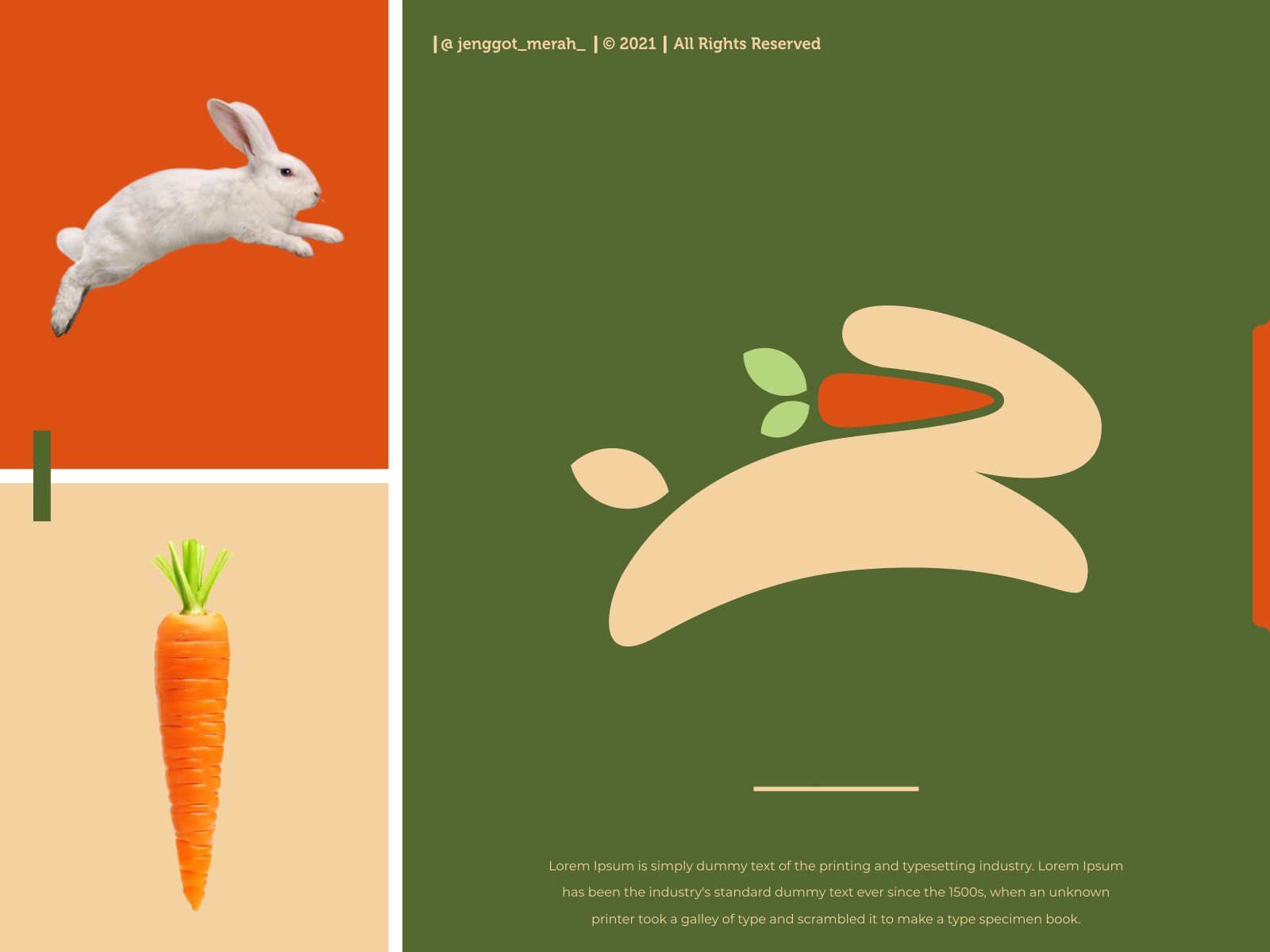 rabbit carrot