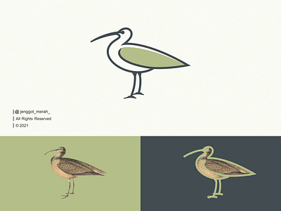 Curlew Bird Line Art Logo