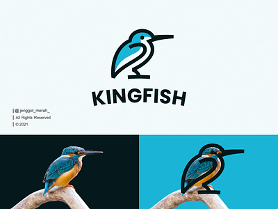 KingFish Bird Line Art Logo animal bird cartoon character design emblem fish flight fly icon illustration king kingfish line art lineart logo design logos symbol vector wings