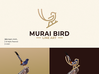 Murai Bird Line Art logo Idea animal awesome bird brand branding design graphic design icon identity illustration inspirations line art logo mark minimal monoline murai nest symbol wings