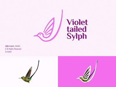 A violet-tailed sylph hummingbird Line Art logo Idea