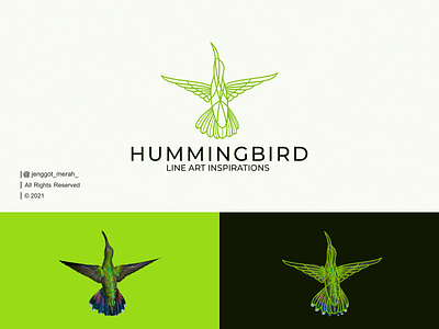 Hummingbird Line Art logo Idea