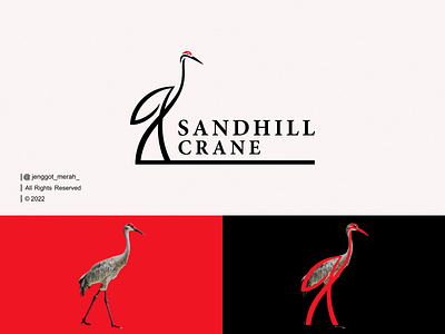 Sandhill Crane Logo Design awesome bird brand branding design flat florida florida sandhill crane icon identity inspirations line art logo mark minimal monoline sandhill crane simple symbol vector