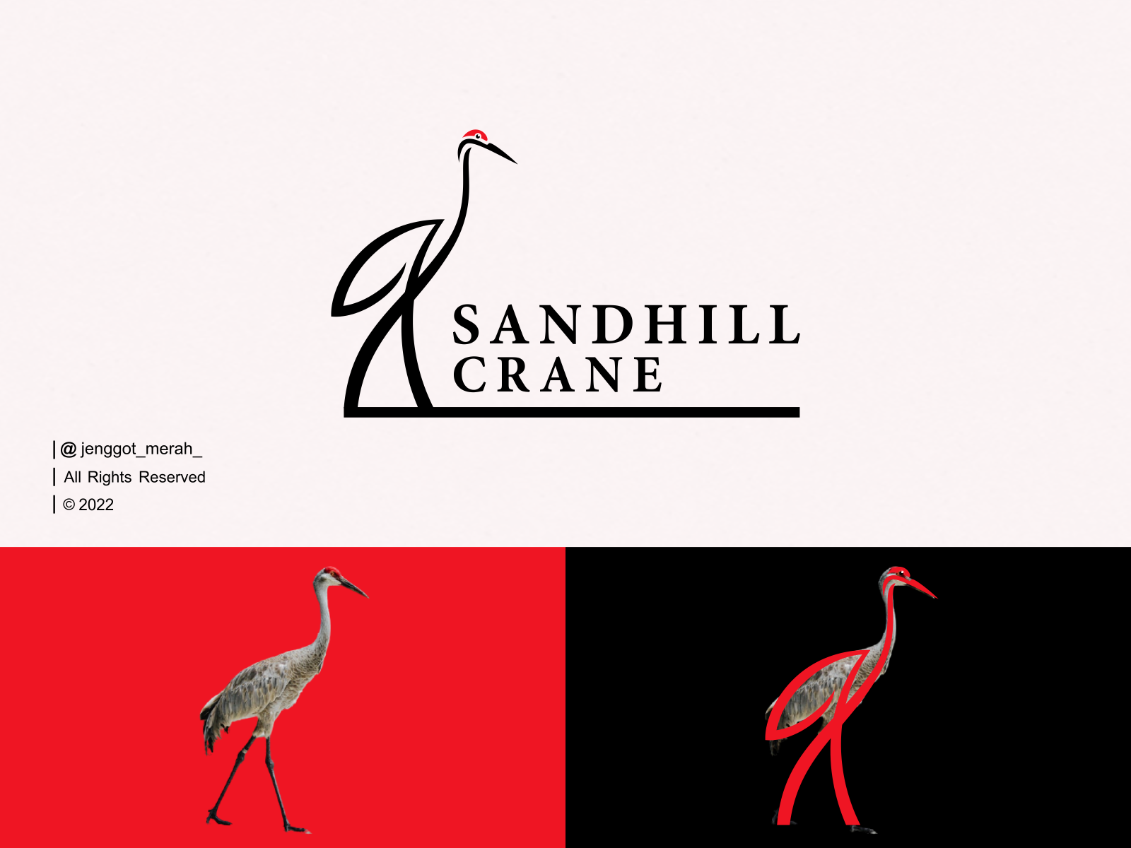 Sandhill Crane Logo Design by Jenggot Merah on Dribbble