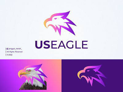 Falcons designs, themes, templates and downloadable graphic elements on  Dribbble