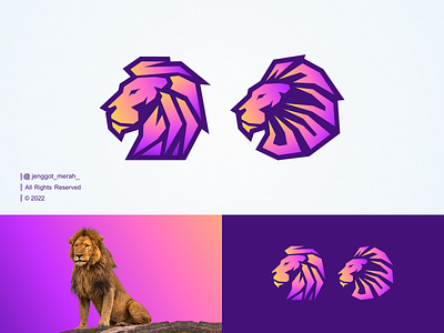Lion Color Logo Design! animal awesome brand brand mark branding colorfull design icon identity illustration inspirations lion lions logo mark starup symbol tech technology vector