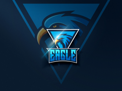 Eagle | unused design eagle esport logo